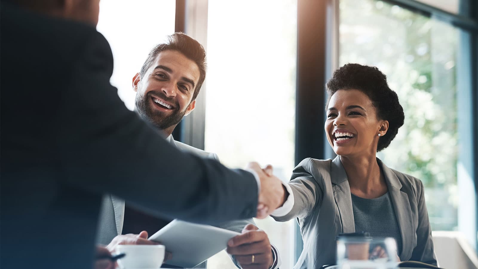 Experts shaking hands