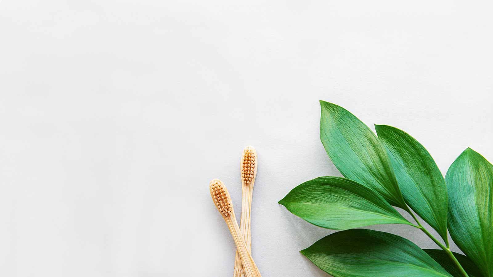 Bamboo toothbrushes and green leaves