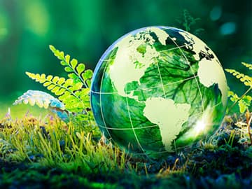 Globe in green forest